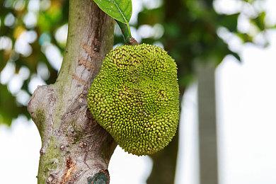 开发者缅怀《星鸣特攻》：我们亲手撞毁的最美汽车